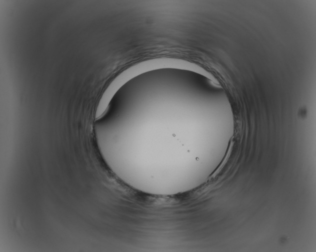 X0000094320621200711241808