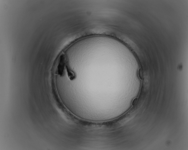 X0000094320626200711241808