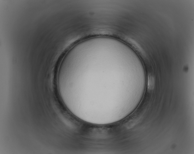 X0000094320627200711241808