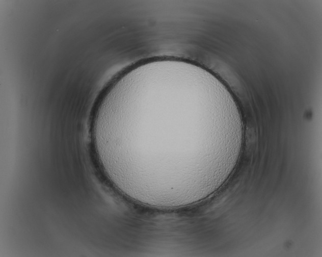 X0000094320628200711241808