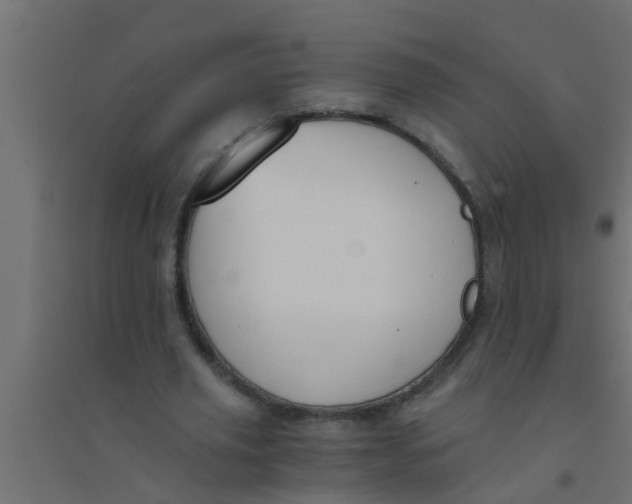 X0000094320629200711241808