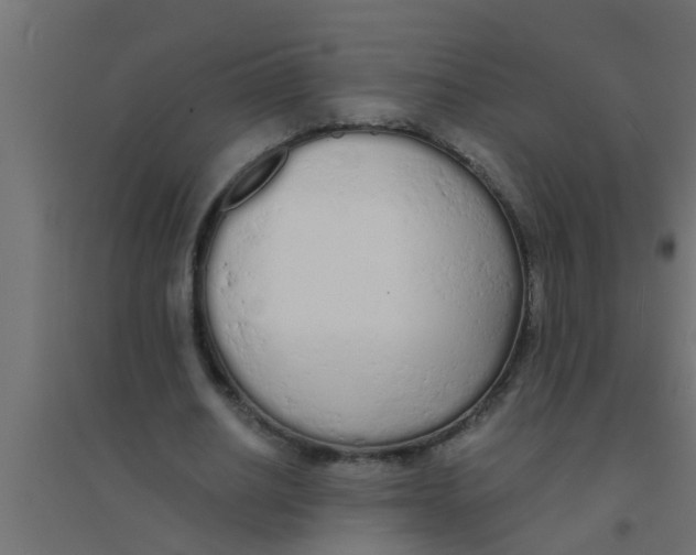 X0000094320630200711241808