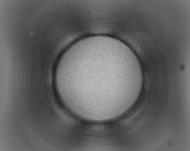 X0000094320631200711241808