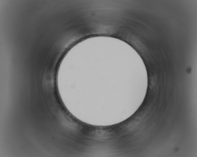 X0000094320632200711241808