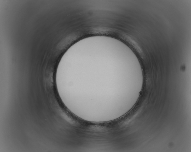 X0000094320633200711241808