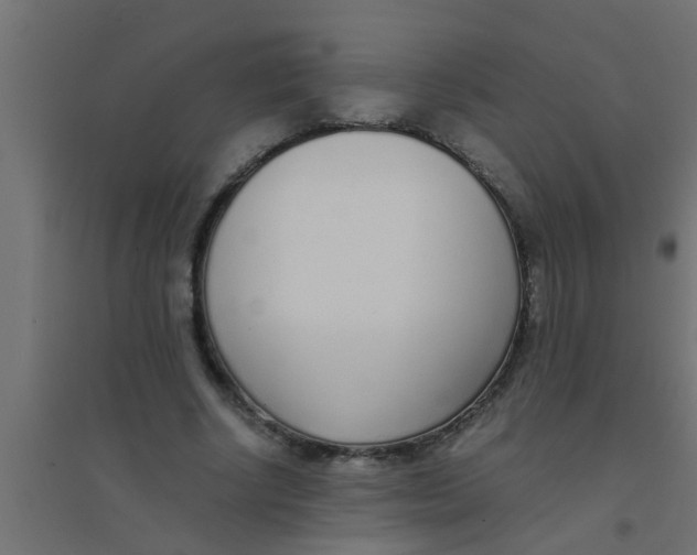 X0000094320634200711241808