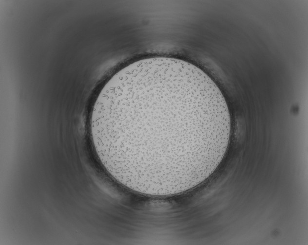 X0000094320636200711241808