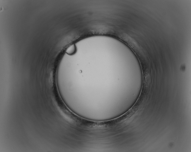 X0000094320638200711241808