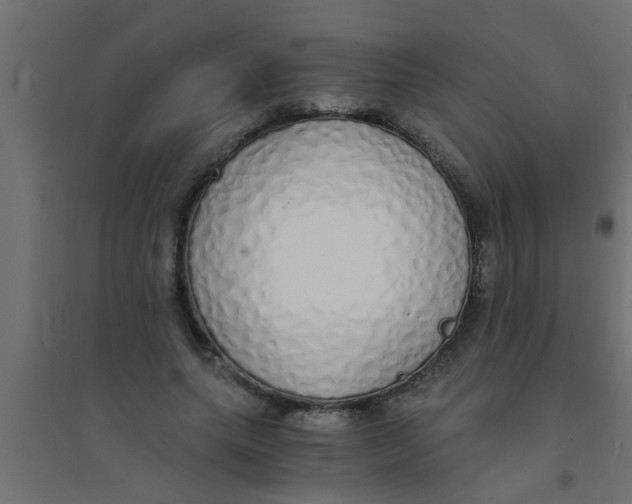 X0000094320639200711241808