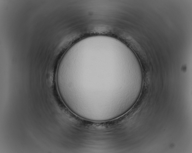 X0000094320640200711241808