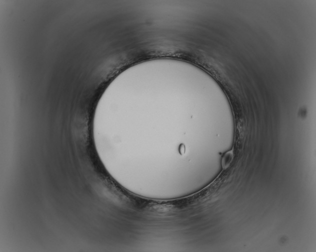 X0000094320642200711241808
