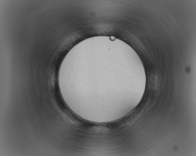 X0000094320644200711241808