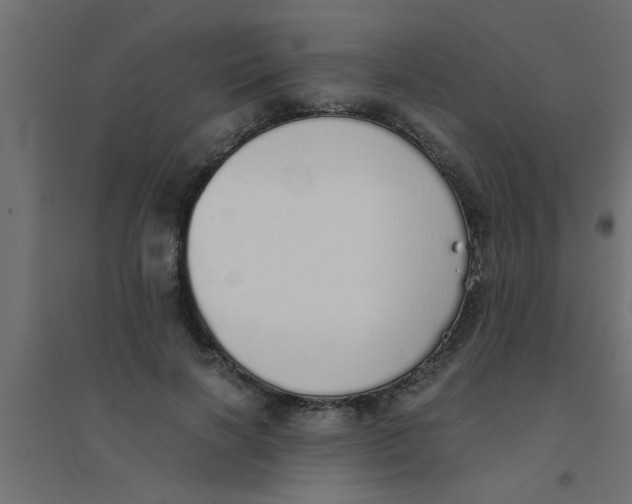 X0000094320646200711241808