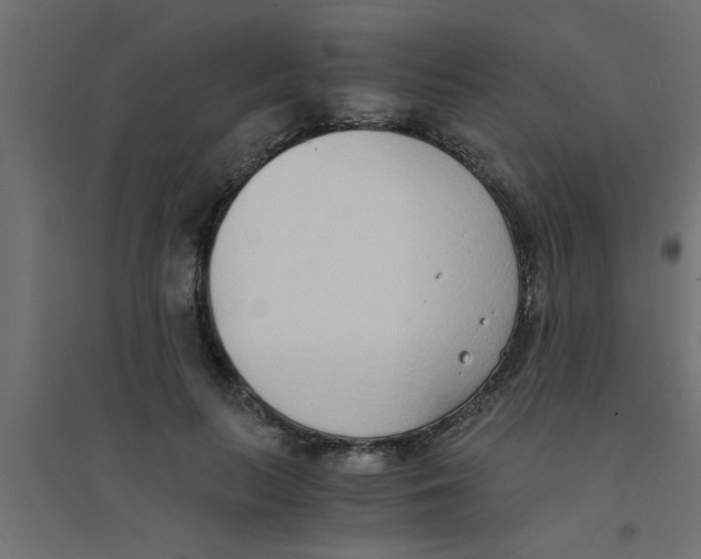 X0000094320647200711241808