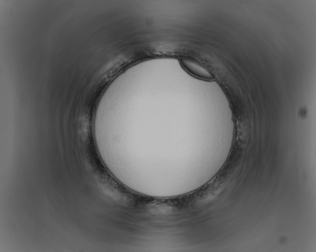 X0000094320648200711241808