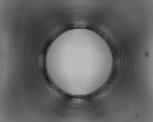 X0000094320649200711241808