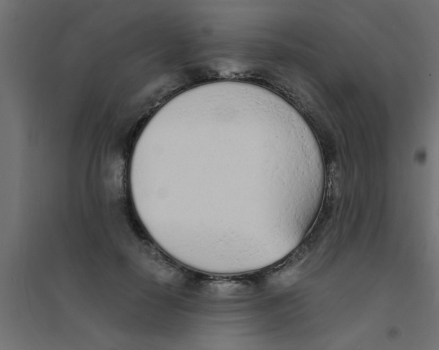 X0000094320650200711241808