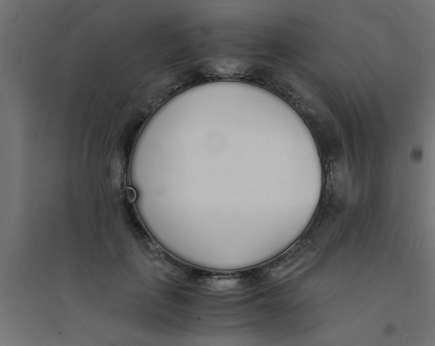 X0000094320651200711241808