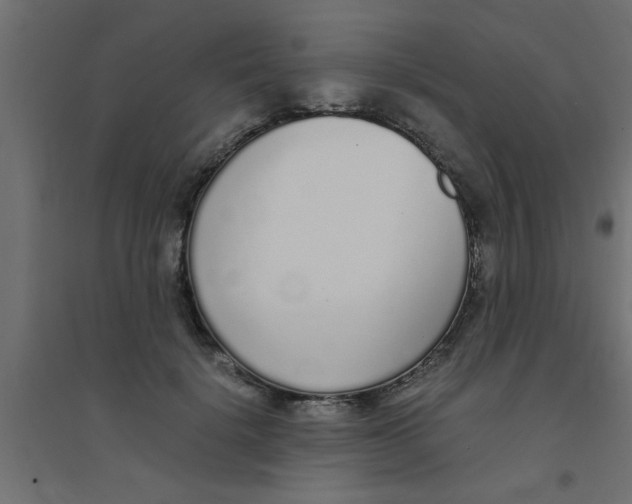 X0000094320652200711241808
