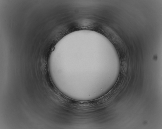 X0000094320653200711241808