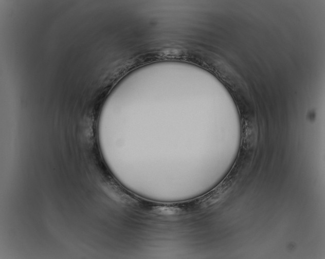 X0000094320654200711241808