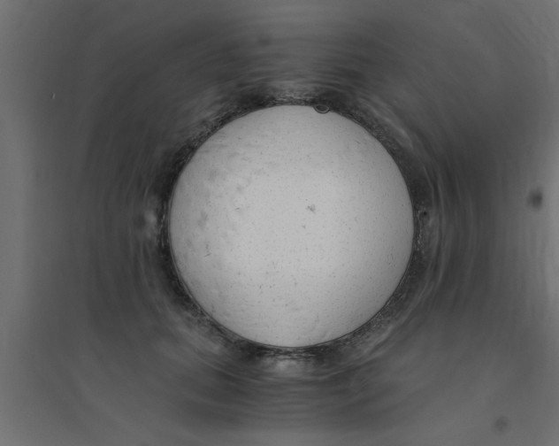 X0000094320655200711241808