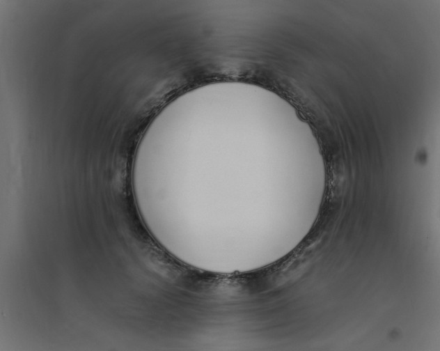 X0000094320656200711241808