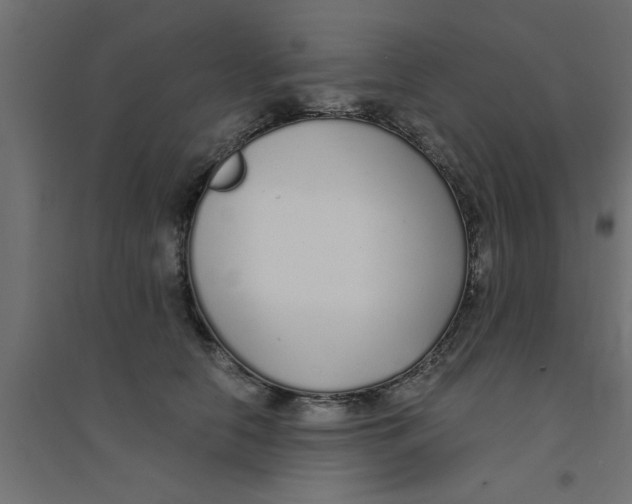 X0000094320658200711241808