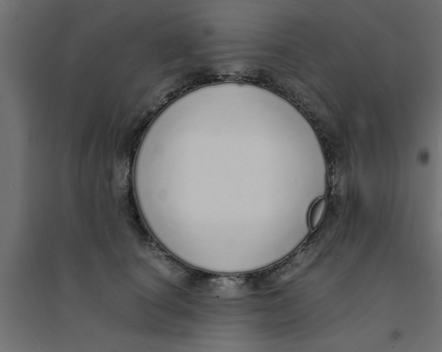X0000094320660200711241808