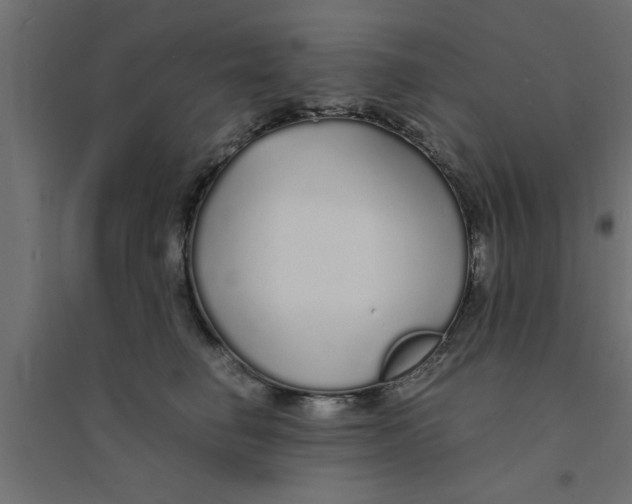 X0000094320662200711241808