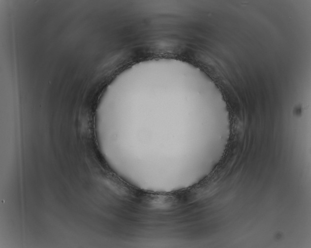X0000094320663200711241808