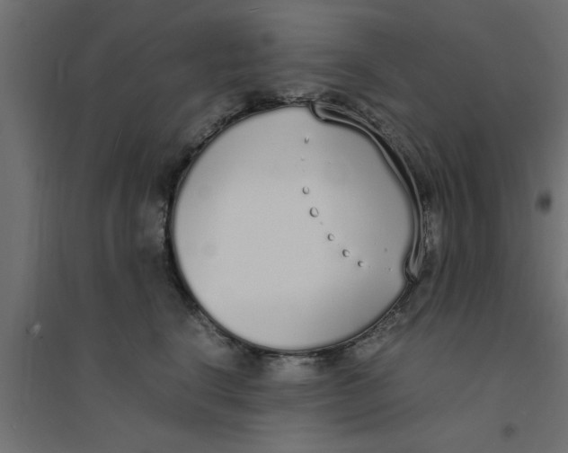 X0000094320664200711241808