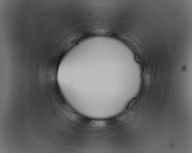 X0000094320665200711241808