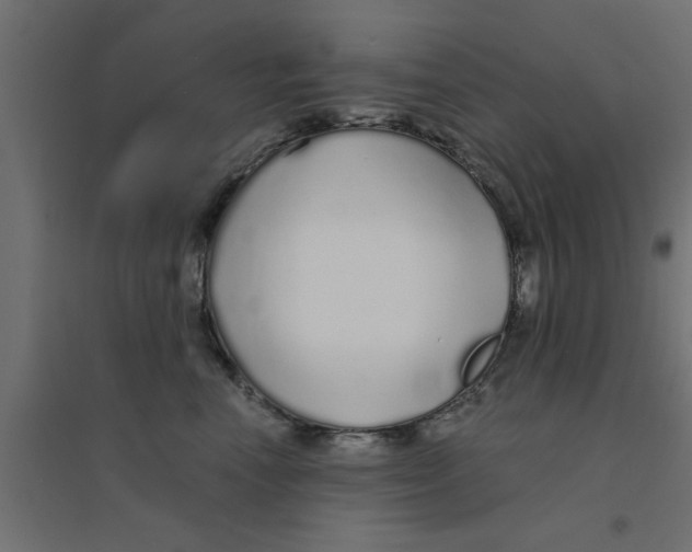 X0000094320666200711241808