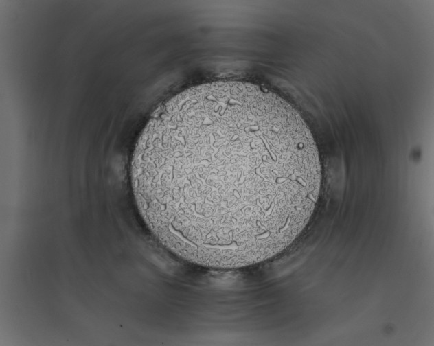 X0000094320667200711241808