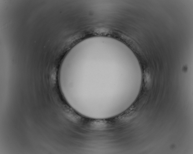 X0000094320668200711241808
