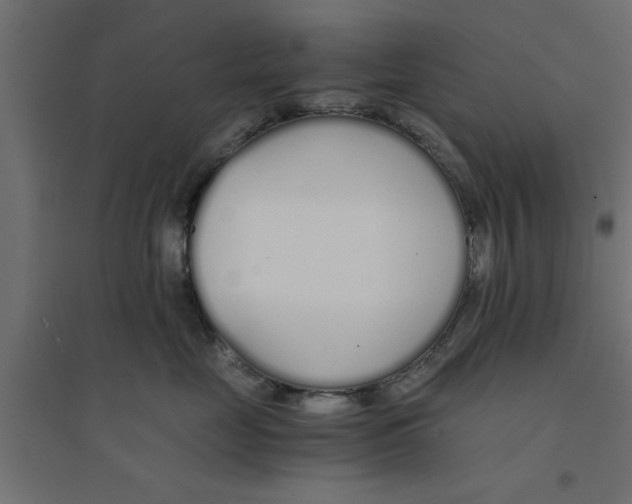 X0000094320669200711241808