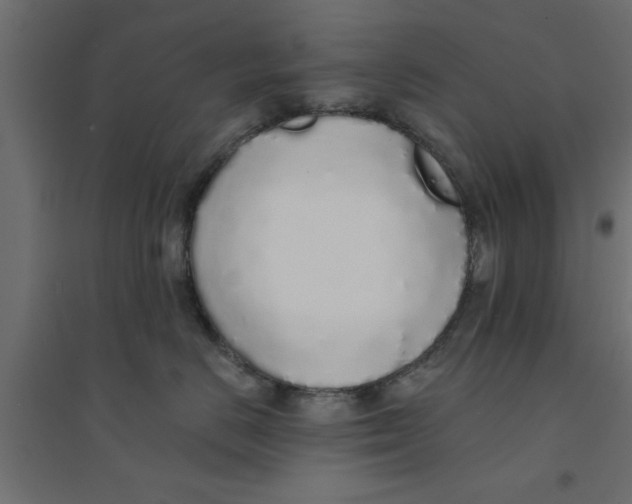 X0000094320670200711241808