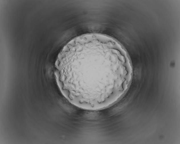 X0000094320671200711241808