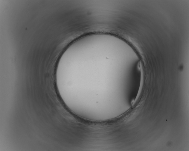 X0000094320673200711241808