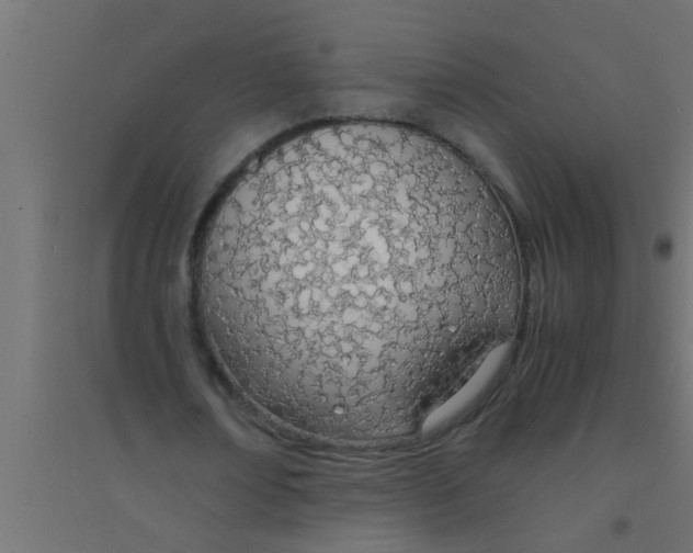 X0000094320674200711241808