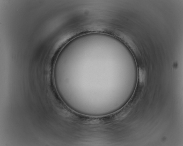 X0000094320675200711241808