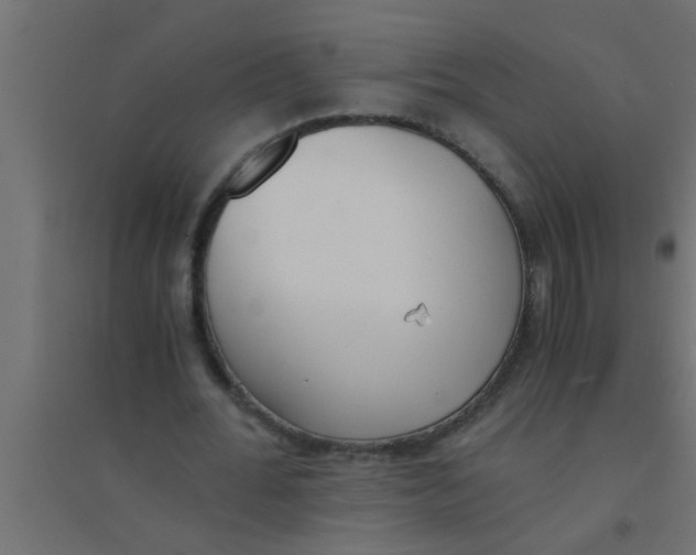 X0000094320676200711241807