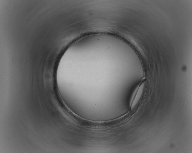 X0000094320677200711241807