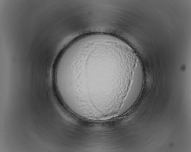 X0000094320678200711241807