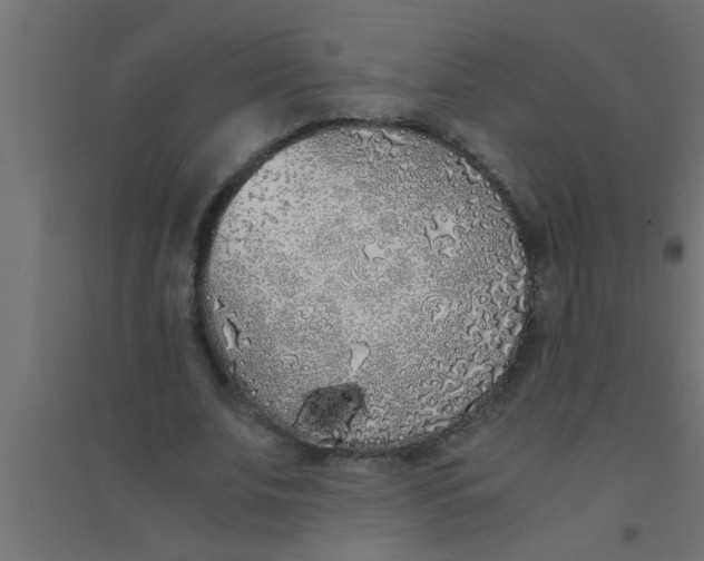 X0000094320679200711241807