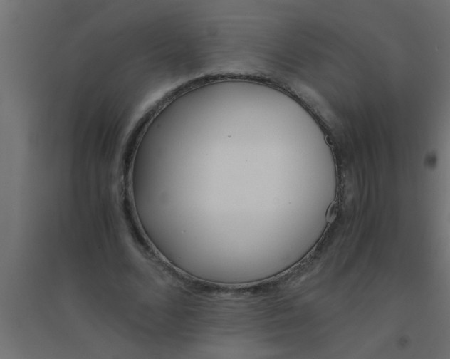 X0000094320680200711241807