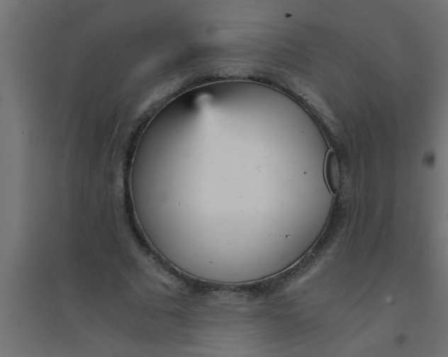 X0000094320681200711241807