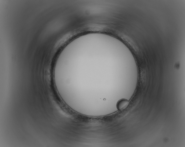 X0000094320682200711241807
