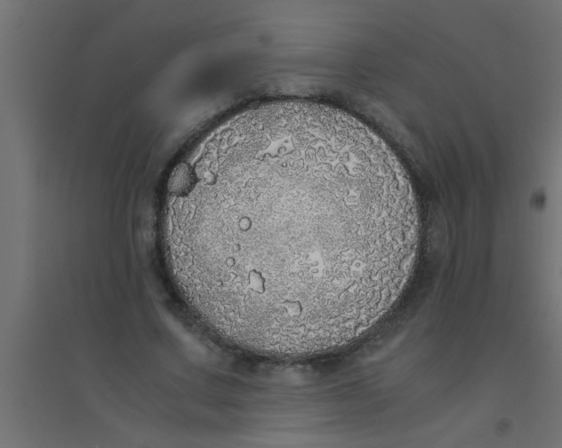 X0000094320683200711241807